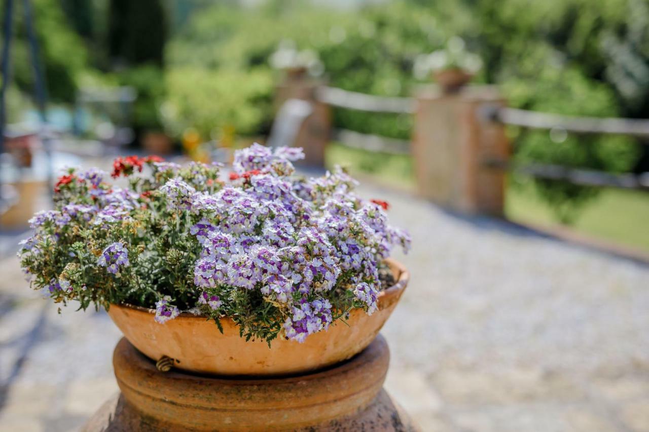Villa Loghino Volterra Eksteriør billede