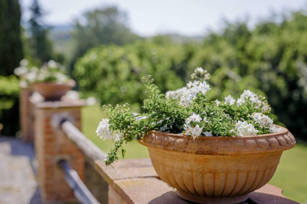 Villa Loghino Volterra Eksteriør billede